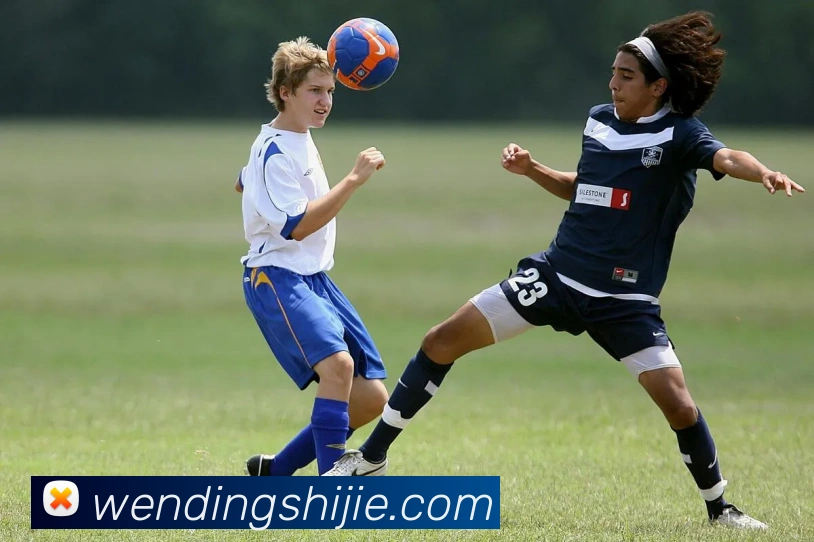 问鼎娱乐APP 封面图