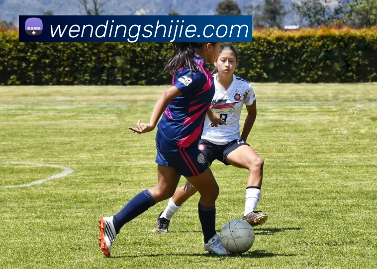 数据防护可视化